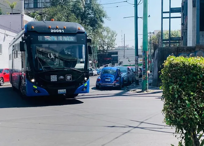 Prado Floresta